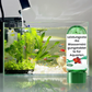🐟 KÖP 1, FÅ 1 GRATIS! 💧 Akvarievattenreningstablett – Eliminerar orenheter, Balanserar pH & Skonsam för fisk 🧪