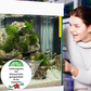 🐟 KÖP 1, FÅ 1 GRATIS! 💧 Akvarievattenreningstablett – Eliminerar orenheter, Balanserar pH & Skonsam för fisk 🧪