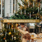 🎁Tidig julkampanj – 50 % rabatt🎄LED-ljus för julgranen med genomskinliga kristallkulor som krokar