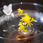 Kreativ flytande blomsterarrangemangshållare