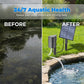 🔥 50% RABATT 🐟 Solcellsdriven dammluftare med inbyggd luftpump ☀️ Syresätt vattnet effektivt – utan elkostnader 🌿