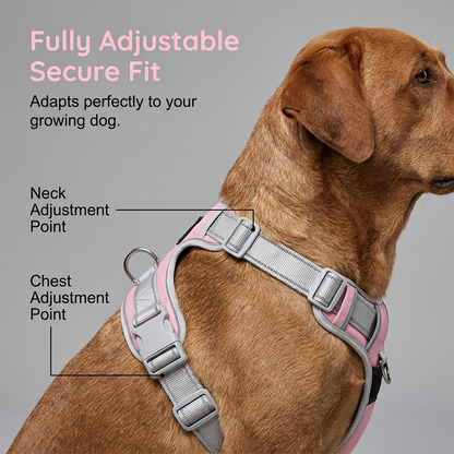 No-pull hundsele 🐕 Bekväm, säker & stoppar dragandet – njut av lugna promenader ✨